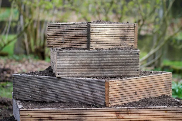 Pirámide Plantas Madera Alerce Uso Jardín Orgánico — Foto de Stock