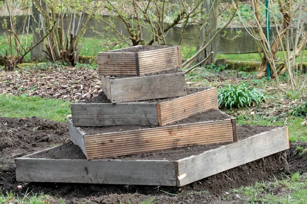 Rostlinná Pyramida Modřínového Dřeva Použití Organické Zahradě — Stock fotografie
