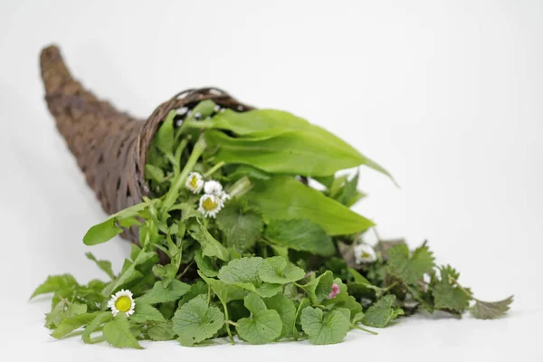 Vilda Örter Cornucopia — Stockfoto