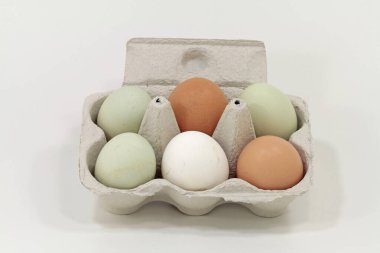  Araucana yumurtası ve diğer tavuk yumurtaları.