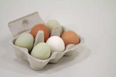  Araucana yumurtası ve diğer tavuk yumurtaları.