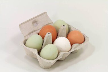  Araucana yumurtası ve diğer tavuk yumurtaları.