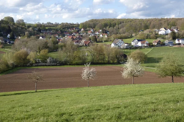 Perspectieven Rond Bellenberg Bij Horn Bad Meinberg — Stockfoto