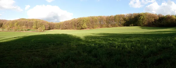 Perspectives Dans Autour Bellenberg Près Horn Bad Meinberg — Photo