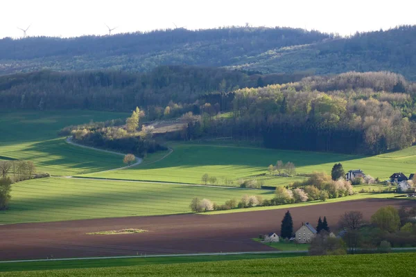 Perspektywy Okolicach Bellenbergu Pobliżu Horn Bad Meinberg — Zdjęcie stockowe