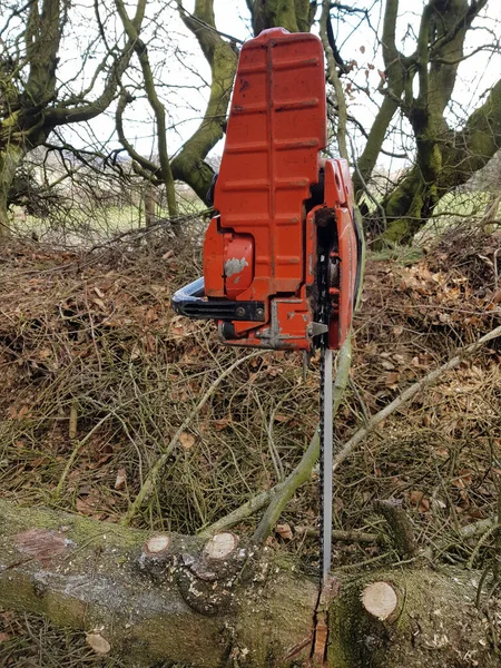 Kettensäge Holz Befestigt — Stockfoto