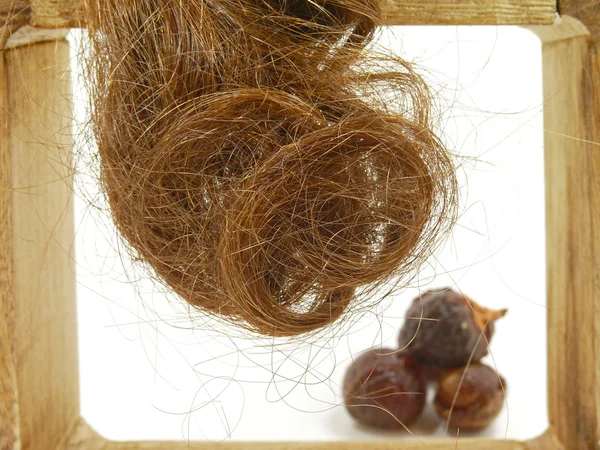 Soap nuts cleaning hairs — Stock Photo, Image