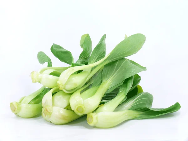 Pak choy — Stock Photo, Image