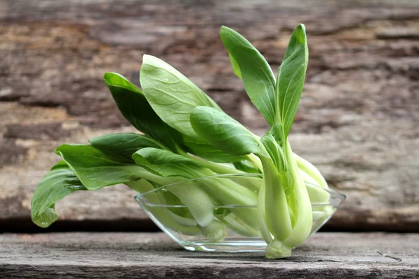 Chinese cabbage — Stock Photo, Image