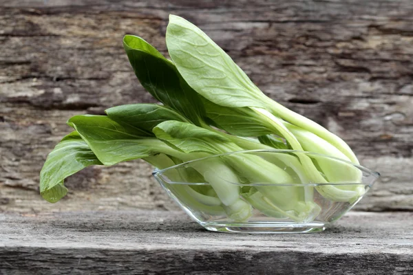 Chinese cabbage — Stock Photo, Image