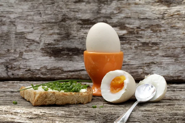 Eggs — Stock Photo, Image