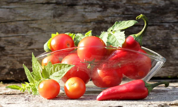 Tomaten — Stockfoto