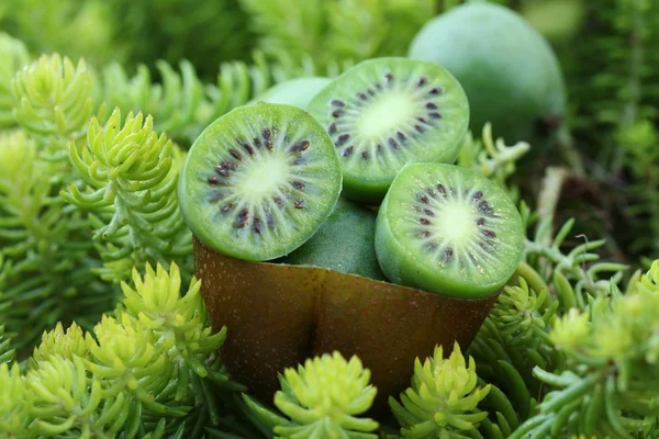 Kiwi. — Foto de Stock