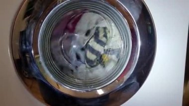 çamaşır makinesi çalışıyor