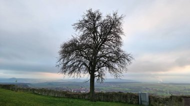 Kuzey Hesse, Schwalm-Eder bölgesinde, Gudensberg 'deki Obernburg harabeleri