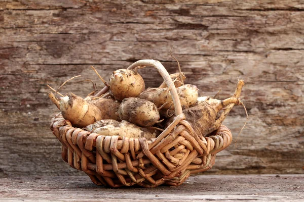 Jerusalem artichoke — Stock Photo, Image