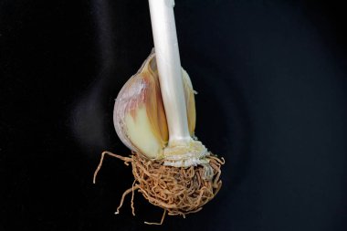 Siyah arka planda sarımsak