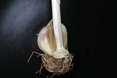 Siyah arka planda sarımsak