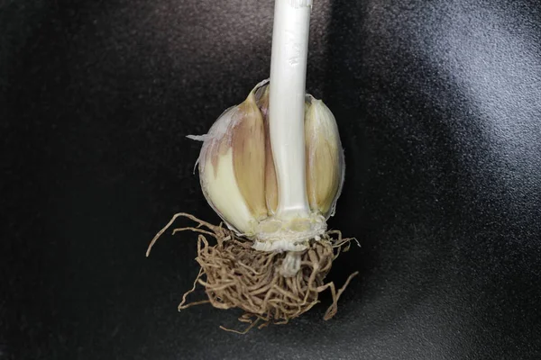 Siyah arka planda sarımsak