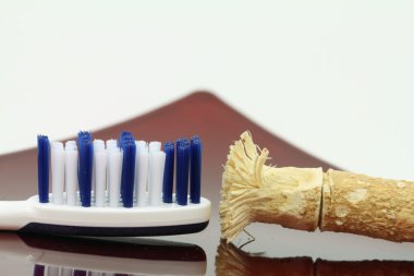 diş fırçası