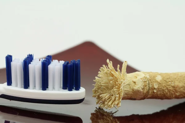 Macro from miswak root — Stock Photo, Image