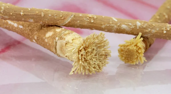 Макрос от корня miswak — стоковое фото