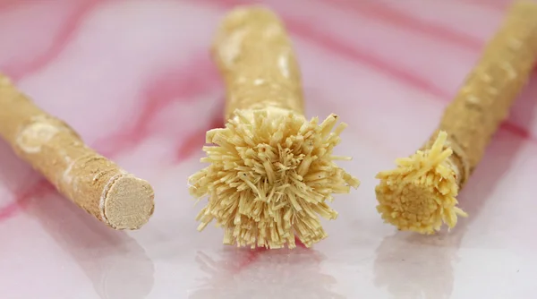 Macro from miswak root — Stock Photo, Image