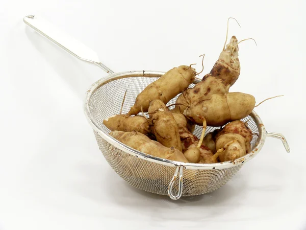 Jerusalem artichokes in the sieve — Stock Photo, Image