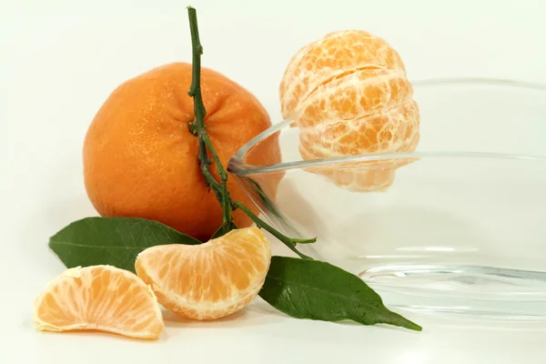 Citrus fruit on whithe background — Stock Photo, Image