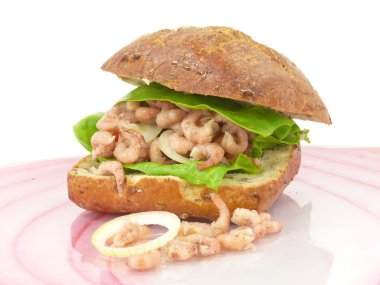 Kuzey Denizi Yengeç