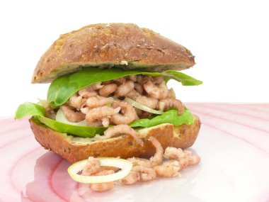 Kuzey Denizi Yengeç