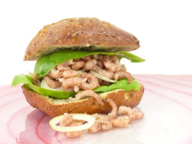 Kuzey Denizi Yengeç