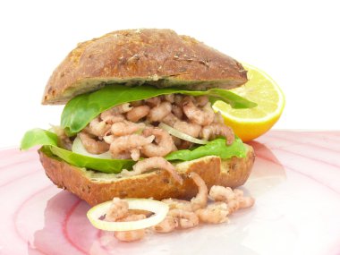 Kuzey Denizi Yengeç