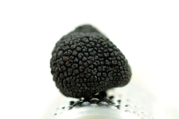 Burgundy truffles on white background — Stock Photo, Image