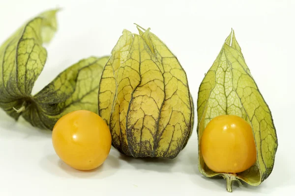 Fresh Physalis fruits — Stock Photo, Image