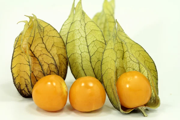 Ovoce čerstvé physalis — Stock fotografie