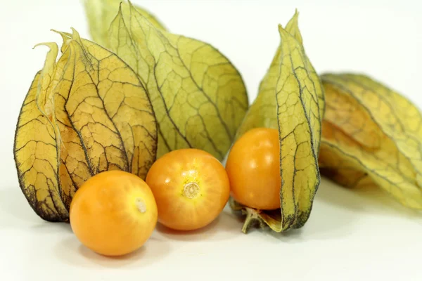 Fresh Physalis fruits — Stock Photo, Image