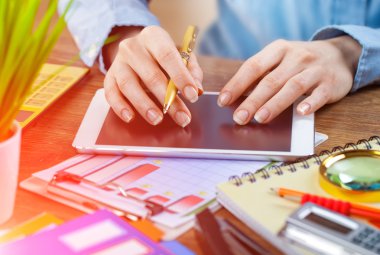 İş Muhasebe Dairesi