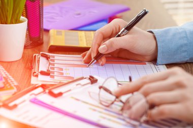 İş Muhasebe Dairesi