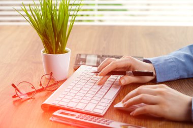 İş Muhasebe Dairesi