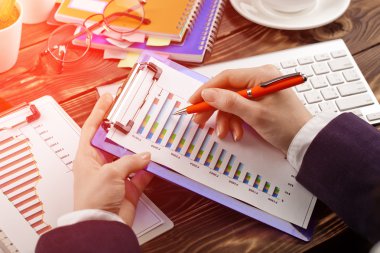 İş Muhasebe Dairesi