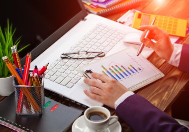 İş Muhasebe Dairesi