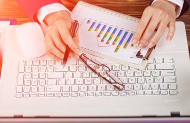 İş Muhasebe Dairesi