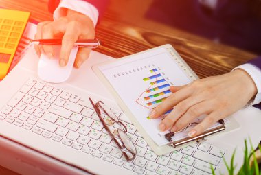 İş Muhasebe Dairesi