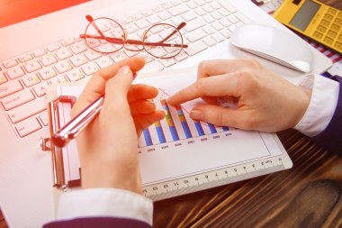 İş Muhasebe Dairesi