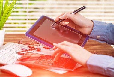 İş Muhasebe Dairesi