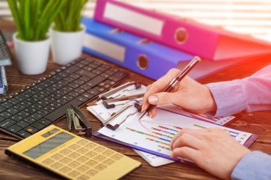 İş Muhasebe Dairesi