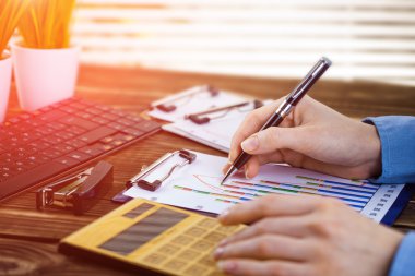 İş Muhasebe Dairesi