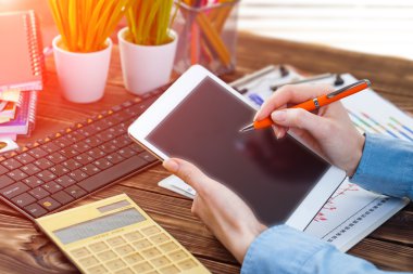 İş Muhasebe Dairesi