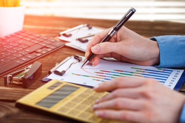 İş Muhasebe Dairesi